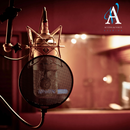 Custom Voice-Over Reel + One Hour Recording/Coaching Session!