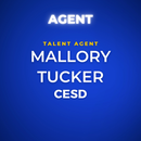 Online TV/Film Agent Masterclass for ALL AGES with Theatrical Agent Mallory Tucker of CESD!