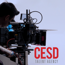 Online TV/Film Agent Masterclass for ALL AGES with Theatrical Agent Mallory Tucker of CESD!