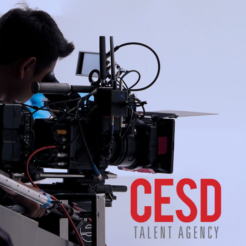 2-Week ONLINE TV/Film Intensive with the Vice-President of CESD Danielle DeLawder!