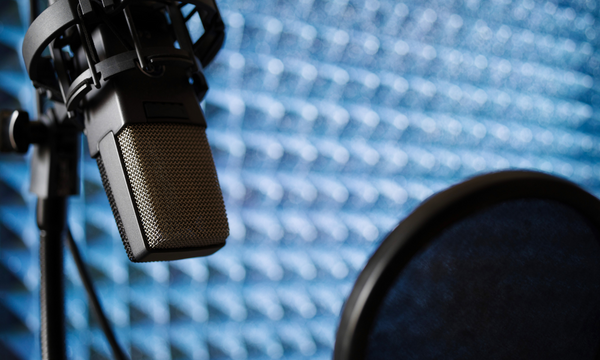 JUNE: 2-Week Online Animation VO Intensive with Marla Weber-Green of CESD Talent Agency!